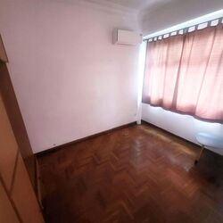 Boundary Road (D19), Terrace #574433011